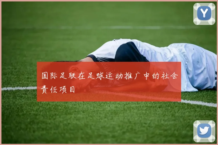 国际足联在足球运动推广中的社会责任项目